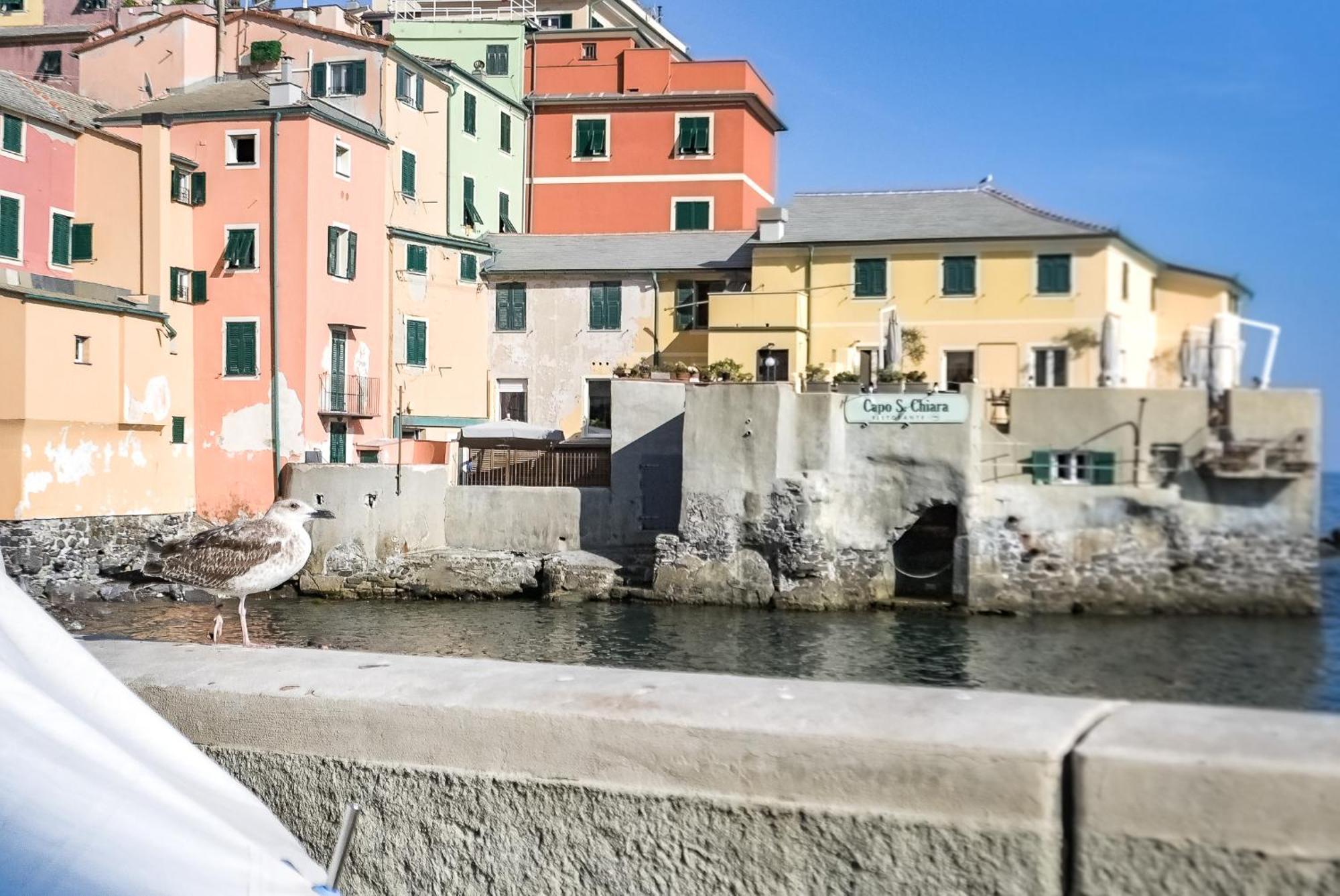 Il Rifugio Sul Mare - Genovainrelax Génova Exterior foto